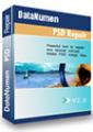 DataNumen PSD Repair DataNumen PSD Repair