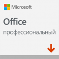 Microsoft Office Professional