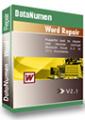 DataNumen Word Repair DataNumen Word Repair