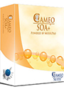 Cameo SOA+ Plugin