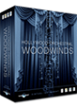 Hollywood Orchestral Woodwinds Hollywood Orchestral Woodwinds