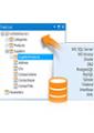 Developer Express - Reporting Developer Express - Reporting