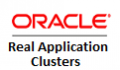 Oracle Real Application Clusters Oracle Real Application Clusters