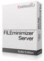 FILEminimizer Server FILEminimizer Server