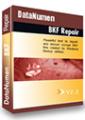 DataNumen BKF Repair DataNumen BKF Repair
