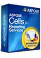 Aspose.Cells for Reporting Services Aspose.Cells for Reporting Services