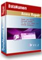 DataNumen Access Repair DataNumen Access Repair