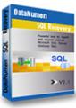 DataNumen SQL Recovery DataNumen SQL Recovery