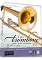 The Trombone