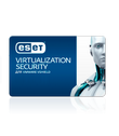 ESET Virtualization Security для VMware newsale for 21 users